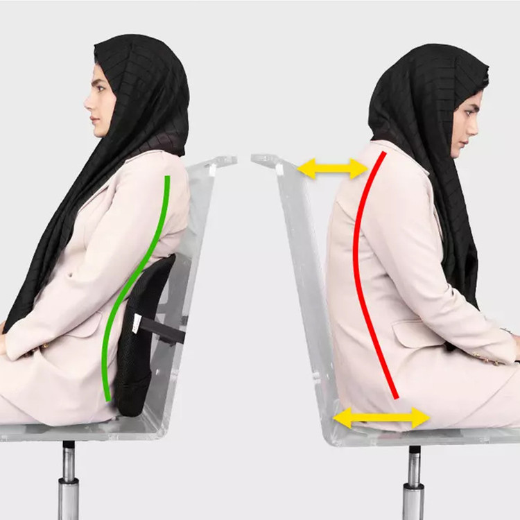 پشت کمری باراد مدل LS1