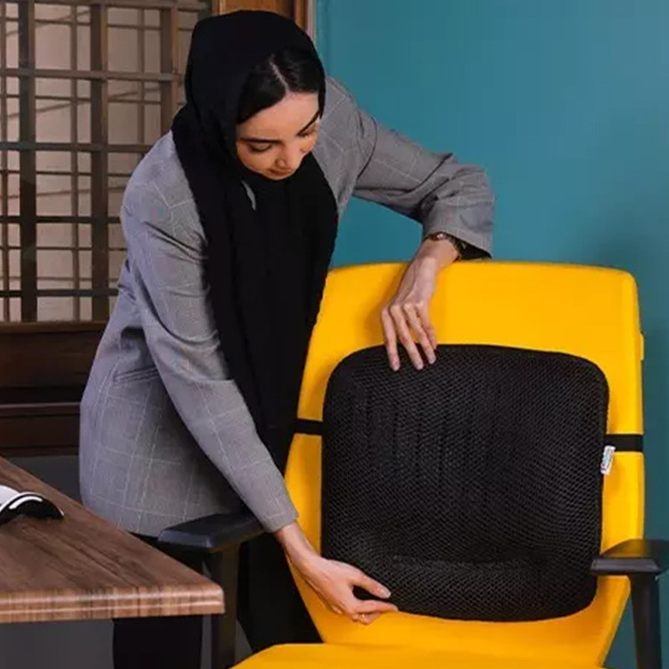پشتی کمری طبی باراد مدل LS2