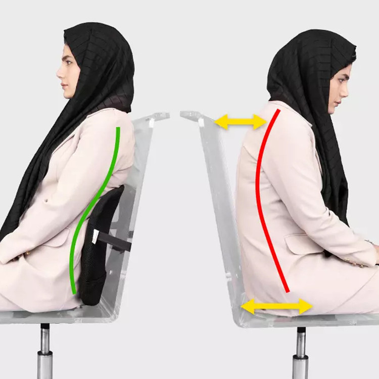 پشتی کمری طبی باراد مدل LS2